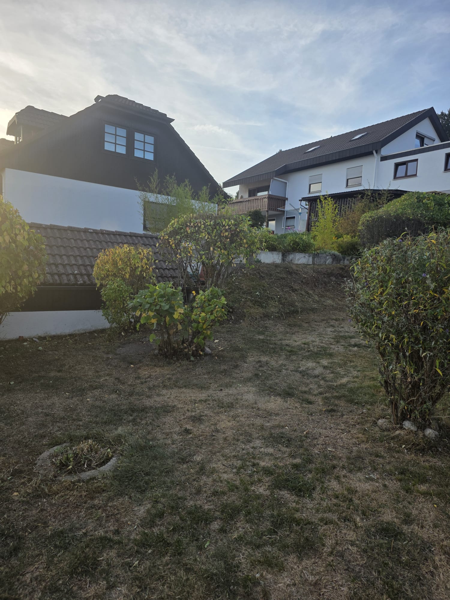 Garden photo 42